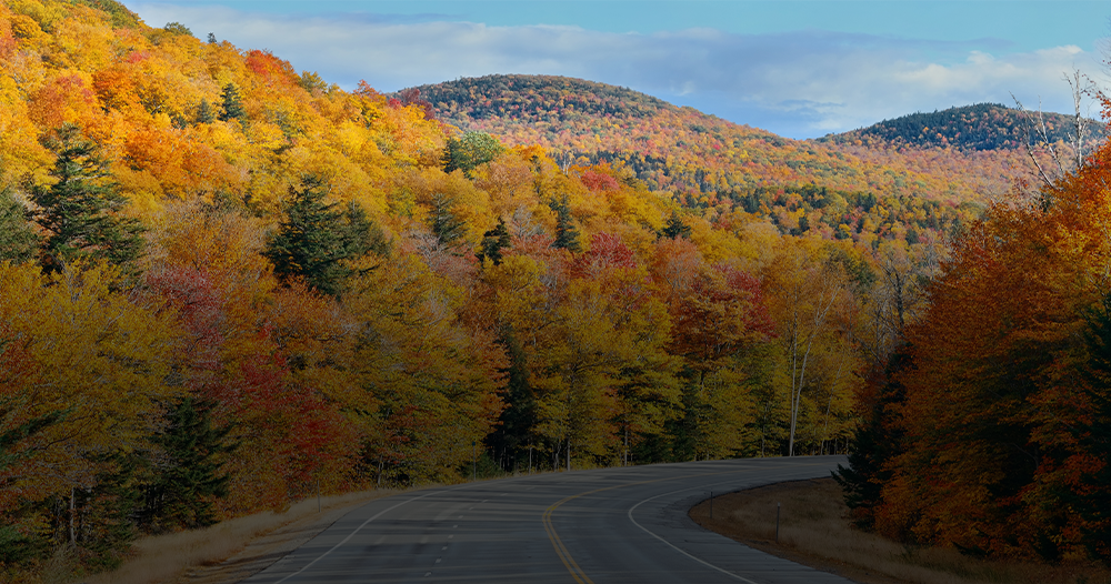 Weather has changed, colorful leaves are falling