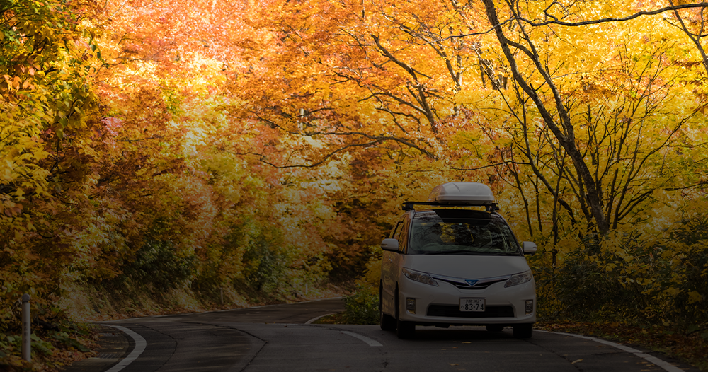 Don’t FALL for cheap insurance, here at FRM GROUP we ensure  you have the coverage you need at the best possible price with  our award-winning service.